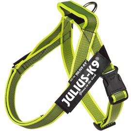 Julius-K9 Colour & Grey Webbing Harness