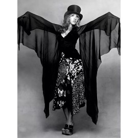 Stevie Nicks High Quality Metal Fridge Magnet 3x4 7228