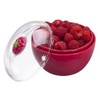 Joie Kitchen Gadgets 31830 Berry Container and Colander, Plastic, Raspberry