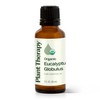 Plant Therapy Plant Therapy Organic Eucalyptus Globulus Essential Oil 100%