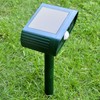 Ultrasonic Solar Animal Repeller Professional High Sensitivity Infrared Long Range