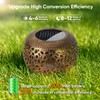NFEVER Solar Lantern Replacement Top: 2 Pack Round LED Light