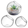 Tofficu Glass Plant Containers 3 Small Vases for Succulents Air