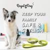 Regal Dog Products Medium Yellow Reflective Dog Collar and Leash