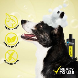 GROOM PROFESSIONAL Bye Bye Buzz Dog Shampoo - Flea Shampoo for Dogs - Dog Shampoo for Itchy Skin - Conditions & Soothes Skin - Relieves Skin Irritations - Deep Cleansing Formula, 450ml