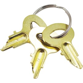 3Pcs Ignition Keys 231713 70321713 for Allis Chalmers D10 D12 D14 D15 D17 D19 Case W10 W10B W10C W10E W12 W5 International 300 400 White Oliver 100 140 160 Wheatland A20346 MAO836 105678A