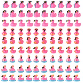 Lyreh 60pcs Mini Flamingo Resin Ducks, Summer Swim Rings Bikinis Sunglasses Surfboards Small Flamingo Little Miniatures Tiny Resin Animals for Dollhouse Garden Landscape Decor DIY Crafts (Style 1)