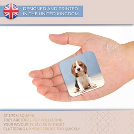 Destination Vinyl ltd Fridge Magnet - Cute Little Beagle Puppy Dog for Office, Cabinet and Whiteboard, Magnetic Stickers, 44787