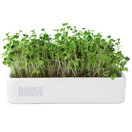 Back to The Roots Organic Microgreens Grow Kit with Ceramic Planter, Expandable Soil, Organic Seeds, and Germination Lid