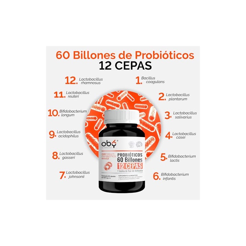 Probioticos Billones Cepas Prebioticos Inulina Raiz Achicoria Mujer Hombre Oby