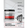 Horb ach Creatine Monohydrate Powder, 500 Grams (1.1 Lb)