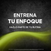 Focus Suplemento Nutricional Claridad y Enfoque | L-Teanina, Bacopa, Rhodiola,