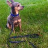 Max and Neo Small Dog Reflective Nylon Dog Leash -