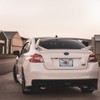 Fastasticdeals Metal Insert License Plate Frame Got Teeth Thank A