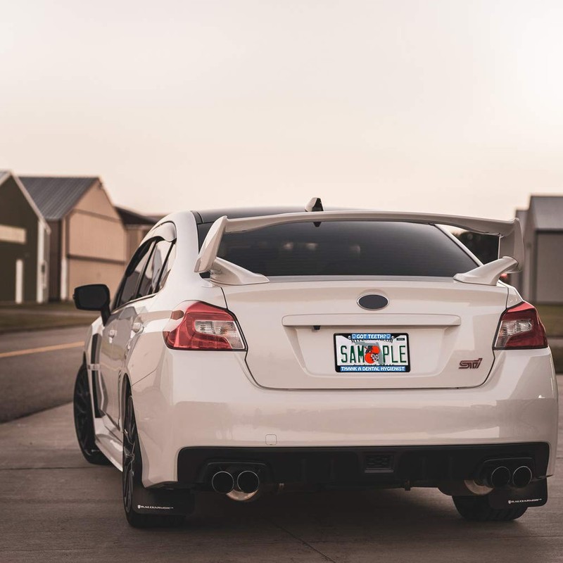 Fastasticdeals Metal Insert License Plate Frame Got Teeth Thank A