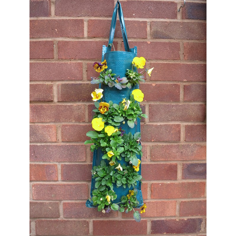 Bowry's Pack of 2 Hanging Strawberry Growbag Planters