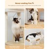 PETEPELA Wood Cat Tree for Indoor Cats Multi-Level Tower with