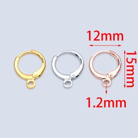 10pcs Earrings Silver Gold Hypoallergenic Round Lever Back Leverback Ear Hooks Finding (Silver)