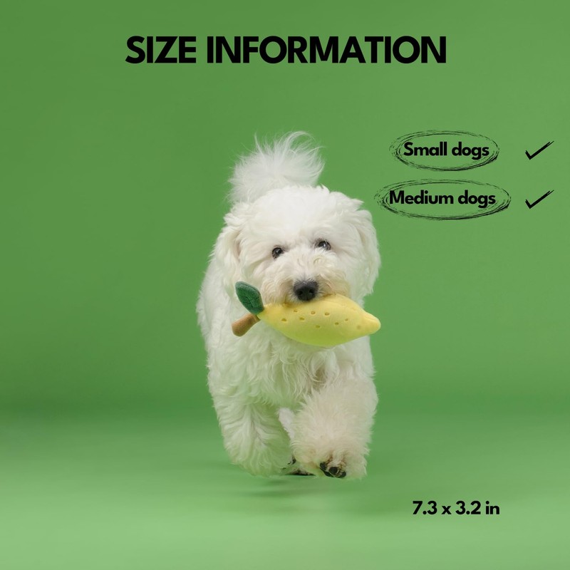 CHEWFFON Squeaky Dog Toy, Plush Lemon for Small and Medium
