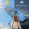 Ucrinei Van Gogh umbrella, Pretty Umbrellas for Women and men,