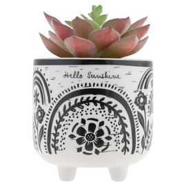 Karma, Boho Footed Pot, Artificial Succulents in Ceramic Pots, Desk Decor, Office Plants, Succulent Décor, Rainbow