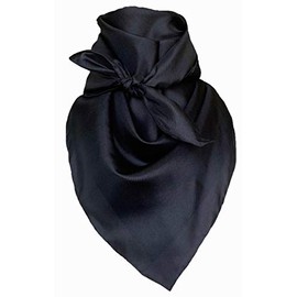 Wyoming Traders Men's Solid Lightweight Breathable Casual Black Regular Silk Scarf, 42.5"