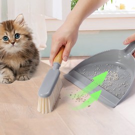 BOERSHUN Dustpan and Brush Set - Brush and Dustpan Set with Bamboo Handle, Kid Broom Dustpan, Mini Brushes and Dustpan Combo for Pet, Car, Sofa, Desk, Keyboard, Floor Cleaning, Gray, 14 x 8.1 inch