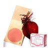 Rubor de Betabel 12gr Karol Cosmeticos Vegetales | Jabón 50gr