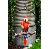 Atlantic Collectibles Ebros Hanging Scarlet Macaw Parrot Perching on Branch