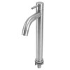 Single Cold Water Kitchen Faucet Stainless Steel Single Hole Bathroom