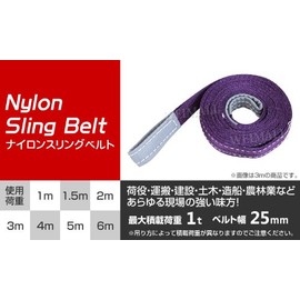 WEIMALL Sling Belt, Nylon Sling, Load Capacity: 2204.4 lbs (25 mm) x 3.3 ft (1 m), Belt Sling