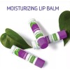 Medline Remedy Phytoplex Lip Balm, Moisturizing, Soothes and Protects, 3