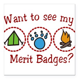 CafePress Merit Badges Square Car Magnet 3 X 3 Square Car Magnet, Magnetic Bumper Display