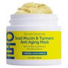 Snail Mucin & Turmeric Anti-Aging Mask – Nourishing Face Mask