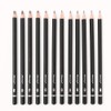 12 Piece Graphite Pencils Set 14B-4H Pencils for Drawing, Sketching,