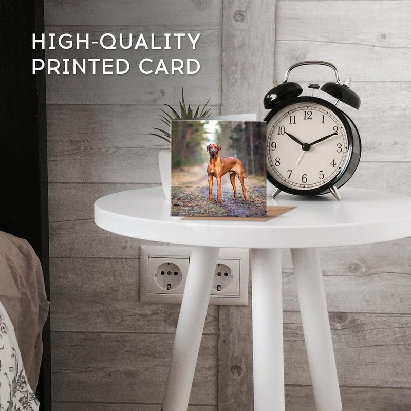 1 x Greeting Card Rhodesian Ridgeback Dog - Blank Birthday