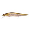 gh110 fa brown trout