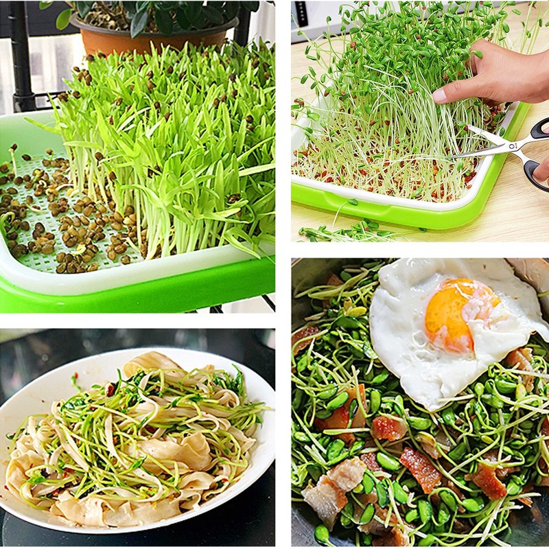 LeJoy Garden 4 Layers Sprout Trays with Extra Strength Plastic