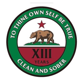 California Bear Recovery Medallion Years 1-50 Available Alcoholics Anonymous AA Chip (Year 1-50) Year 13