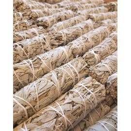 Bulk Sage Bundles Wholesale 25 Pack, Fresh Organic Smudge Sticks, White Sage Sticks for Home Cleansing, Smudging Sage Bulk, Wholesale Sage with Instructions, Charitable! (White Sage - 25 Sticks)