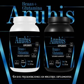 Aminoácidos Bcaas + Glutamina Anubis 1kg 100 Servicios