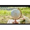 TOPGLOBE 20cm Globe Golden and White Colour Metallic - Wedding