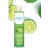 Shampoo De Bergamota Shelo Nabel Crecimiento De Cabello
