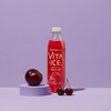 Vita Ice Bing Cherry Plum, 12 Pack, 17 oz. Bottles