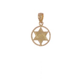 Unbranded 10k Yellow Gold Star of David in Circle Frame Pendant