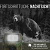 Strex Wildlife Camera with Night Vision - 16MP 1080P Full
