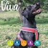 Ancol Viva Padded Harness Red M 41-53cm