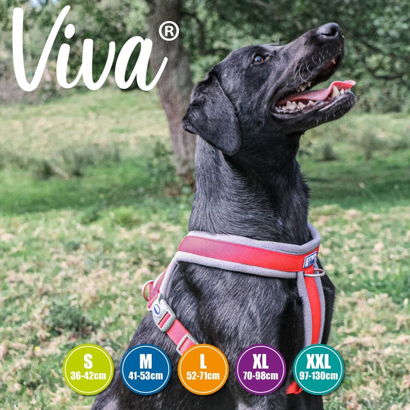 Ancol Viva Padded Harness Red M 41-53cm