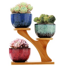 Jueison Succulent Pots with 3 Tier Bamboo Saucers Stand Holder Modern Decorative Ceramic Flower Pots with Drainage Mini Cactus Plant Pot Planters for Indoor Home Office Desk Garden Decor (#006)