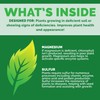 Bloom City's Organic Liquid Epsom Salt for Plants - Epsom
